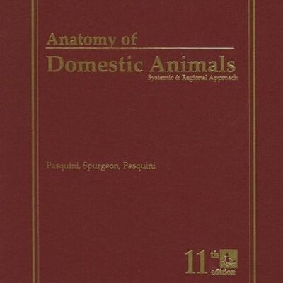 Anatomy of Domestic Animals