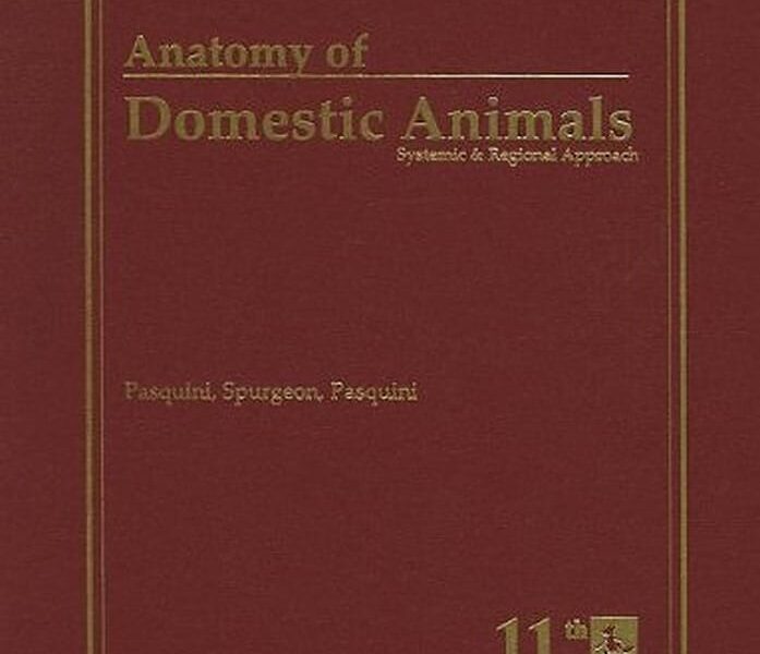 Anatomy of Domestic Animals