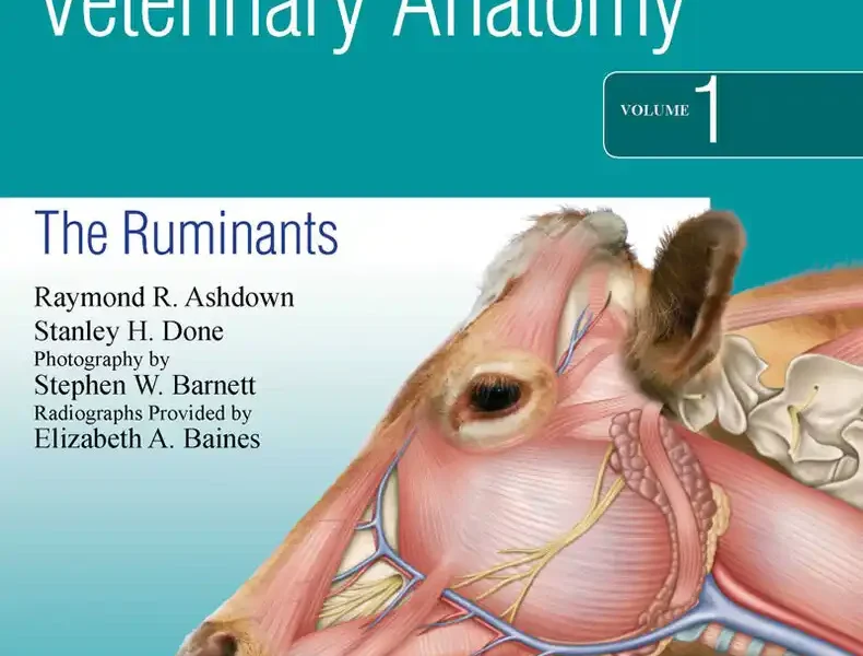 Color Atlas of Veterinary Anatomy, Volume 1, The Ruminants, 2nd Edition