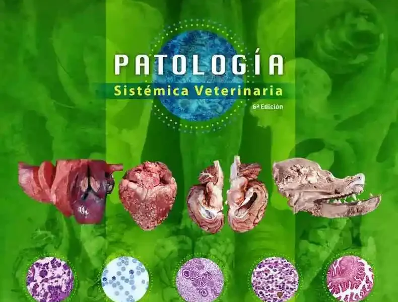 Patología Sistémica Veterinaria 6ª Edición