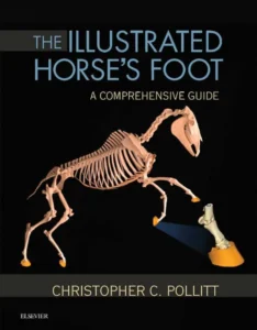The Illustrated Horse’s Foot a Comprehensive Guide