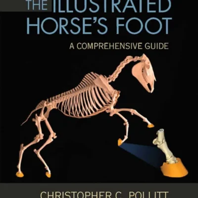 The Illustrated Horse’s Foot a Comprehensive Guide
