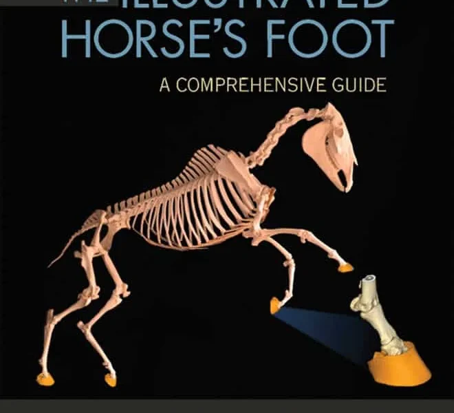 The Illustrated Horse’s Foot a Comprehensive Guide