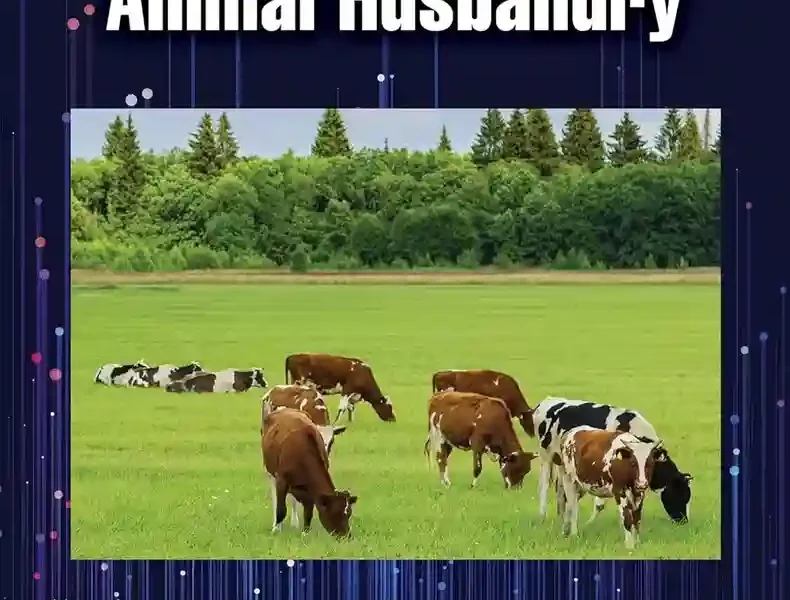 Antimicrobials in Animal Husbandry