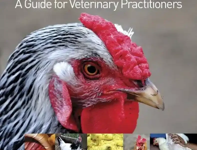 Backyard Poultry Medicine and Surgery: A Guide for Veterinary Practitioners