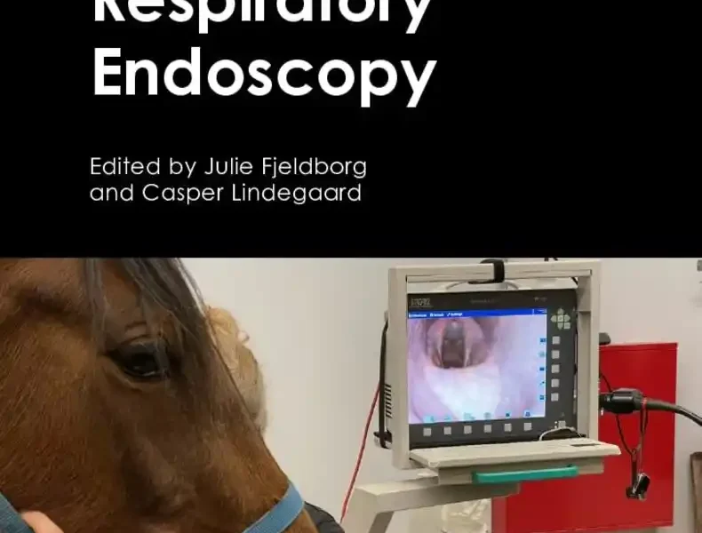 Equine Respiratory Endoscopy