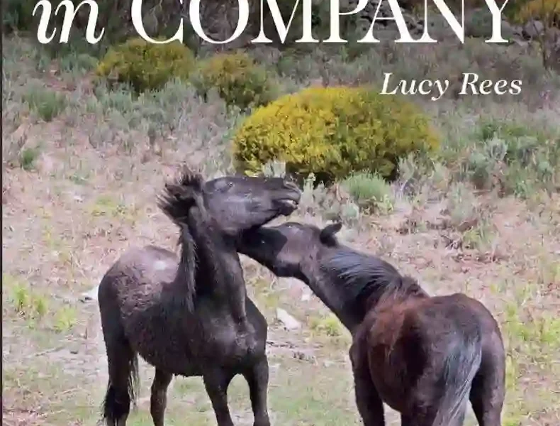 Horses in Company