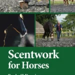 Scentwork for Horses