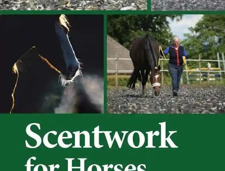 Scentwork for Horses