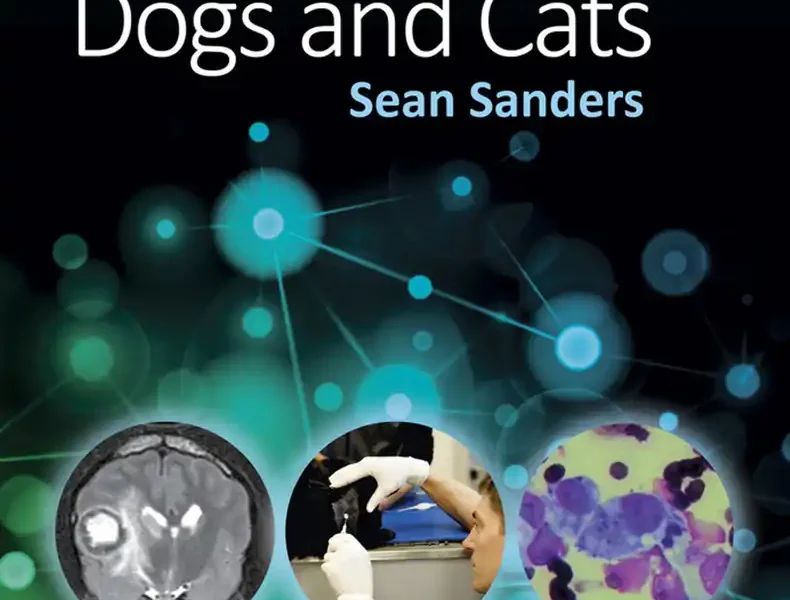 Seizures in Dogs and Cats