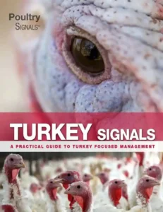 Turkey Signals: A Practical Guide to Turkey Focused Management 