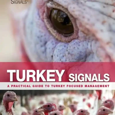 Turkey Signals: A Practical Guide to Turkey Focused Management