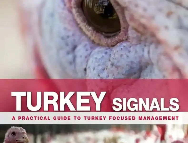 Turkey Signals: A Practical Guide to Turkey Focused Management