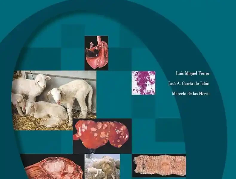 Atlas of Ovine Pathology