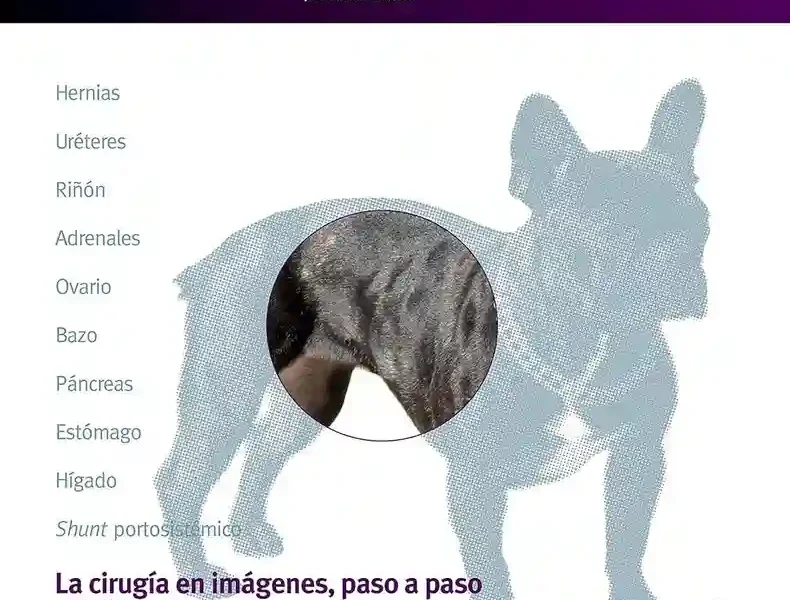 El abdomen craneal. Cirugía en la clínica de pequeños animales