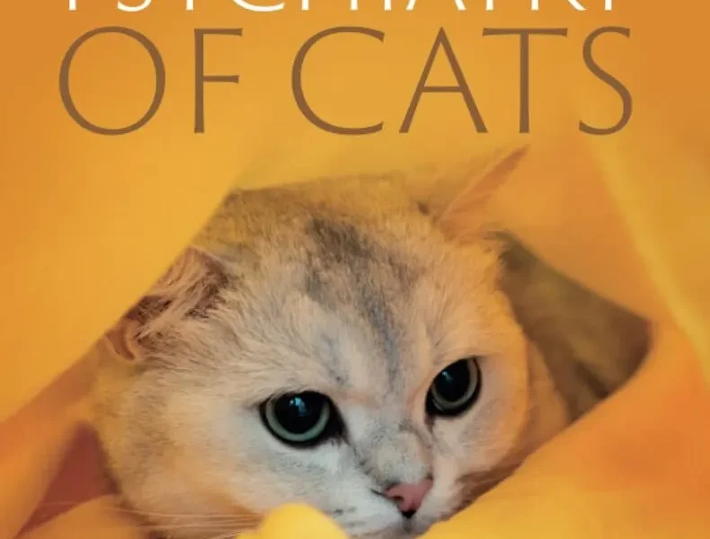 The Veterinary Psychiatry of Cats