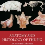 Anatomy and Histology of the Pig A Concise Full-Color Atlas