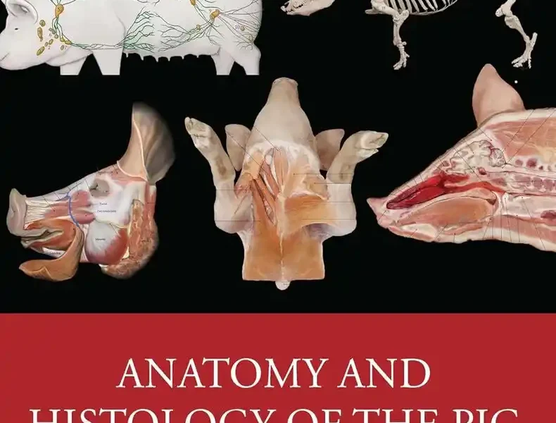 Anatomy and Histology of the Pig A Concise Full-Color Atlas