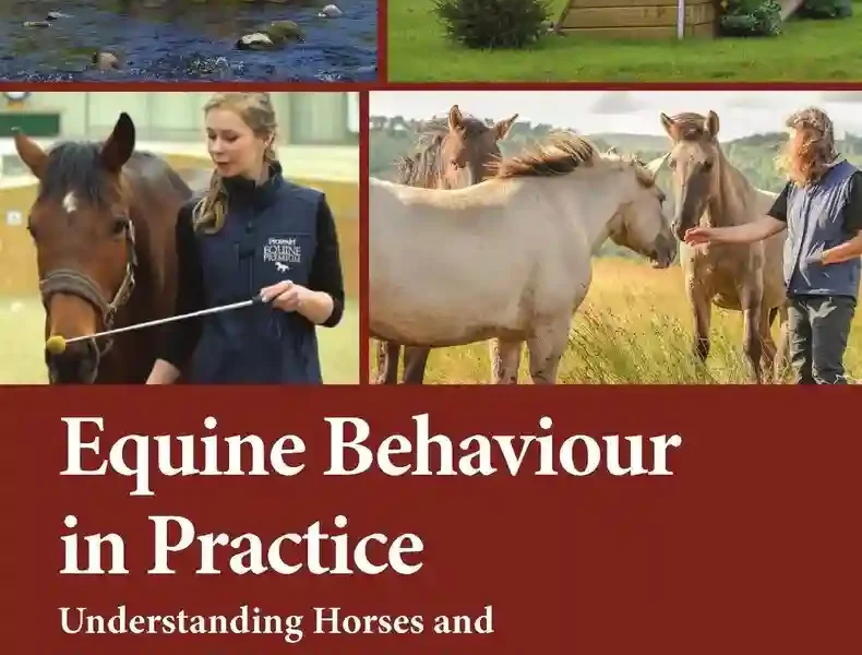 Equine Behaviour in Practice Understanding Horses and Treating Behaviour Problems