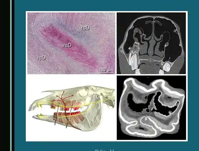 Equine Dentistry and Maxillofacial Surgery