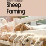 Illustrated Handbook of Sheep Farming