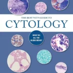 The Busy Vet’s Guide to Cytology What Do All the Blobs Mean