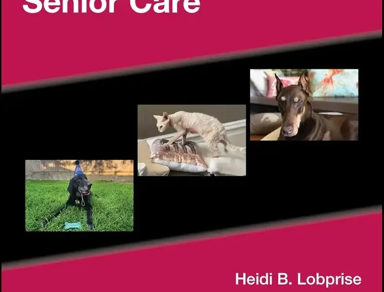 Blackwell's Five-Minute Veterinary Consult Clinical Companion Small Animal Senior Care