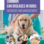 Common Ear Diseases in Dogs Diagnosis and Management