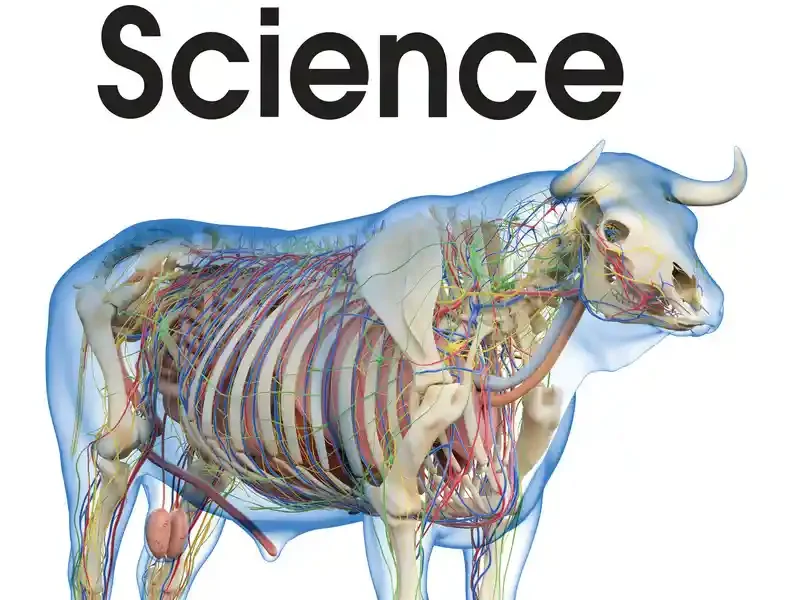 Illustrated Handbook of Bovine Science cover PDF