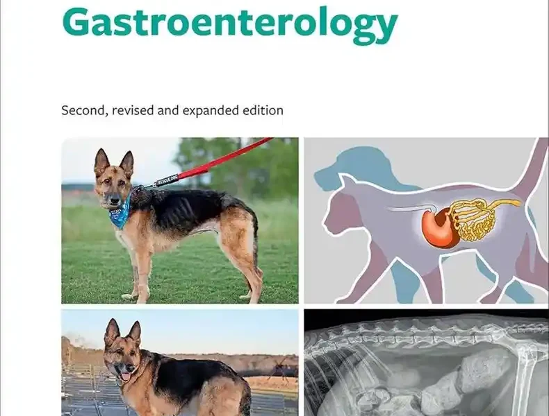 Small Animal Gastroenterology, 2nd Edition pdf cover