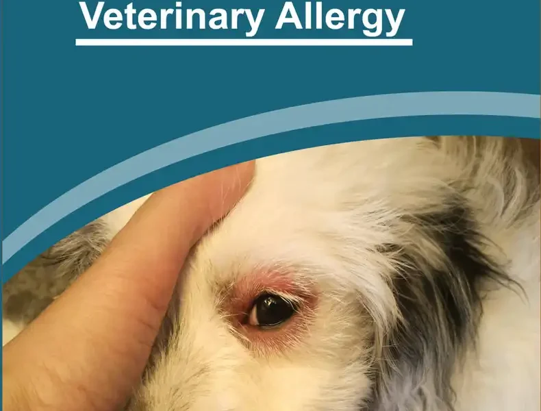 Illustrated Handbook of Veterinary Allergy cover
