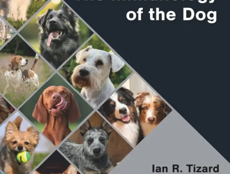 The Immunology of the Dog cover