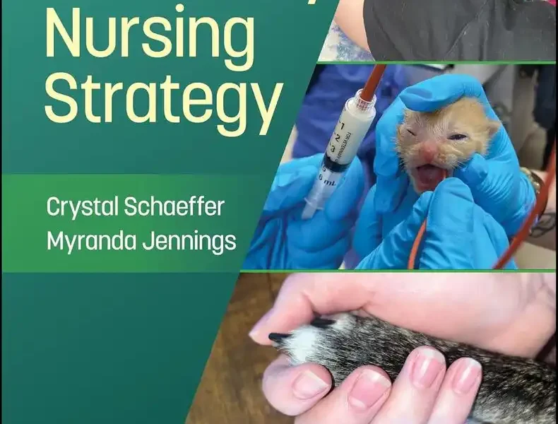 Veterinary Nursing Strategy pdf cover